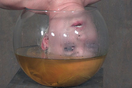 Dresden's head lowered into a bowl of her own piss