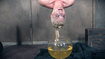 Dresden in piss play inverted suspension