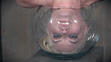 Dresden in inverted suspension with head in fish bowl