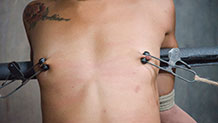 Nikki Darling tied up in nipple clamps
