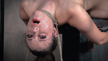 Iona grace sexually broken